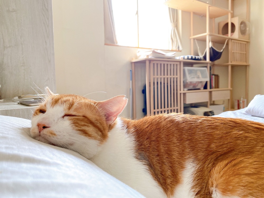 圖／翻攝自好味小姐臉書