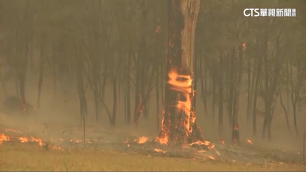 澳洲聖嬰現象迎春季熱浪　雪梨禁火令防野火