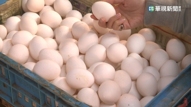 遭疑「為何不從中國進口雞蛋？」　防檢署：輸入風險高