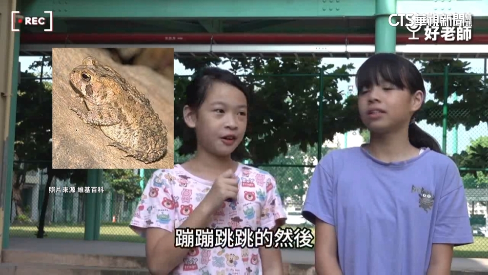 老師像什麼？　學童萌答：恐龍.癩蝦蟆.柯南　師笑翻