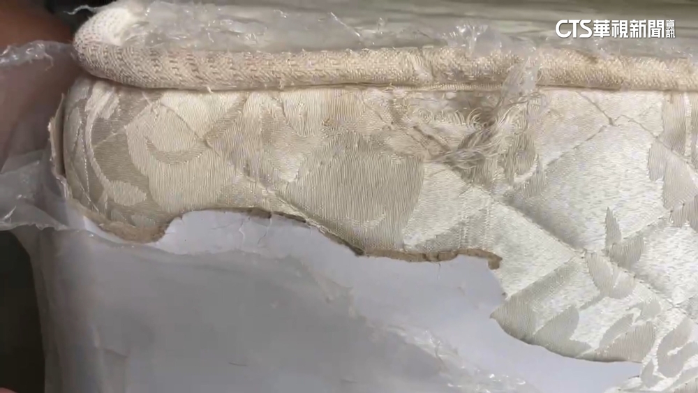 帶10隻狗住民宿！退房滿地毛　地墊疑殘留大小便