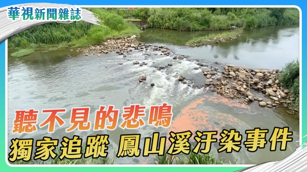 獨家追蹤水汙染！鳳山溪浩劫｜華視新聞雜誌