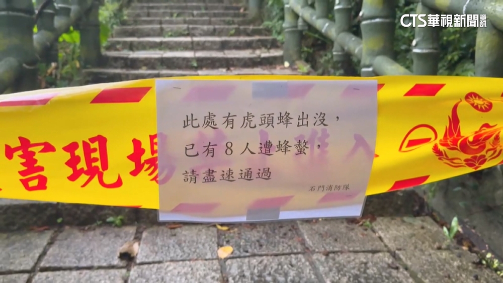 緊急封鎖！新北登山客遭蜂襲　一天兩起11人傷