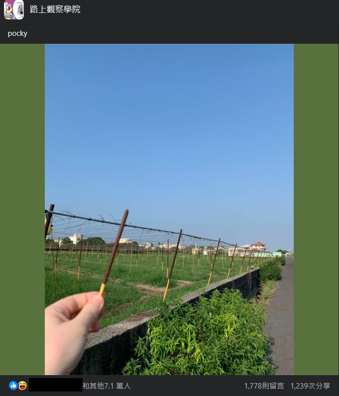 圖片翻攝自 路上觀察學院