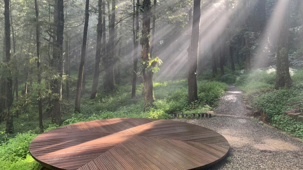 「小犬」颱風朝台逼近　林業署：國家森林遊樂區明起可能預警性休園