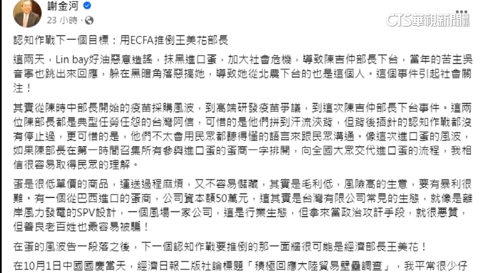 「用ECFA推倒王美花」　謝金河：下個認知作戰目標