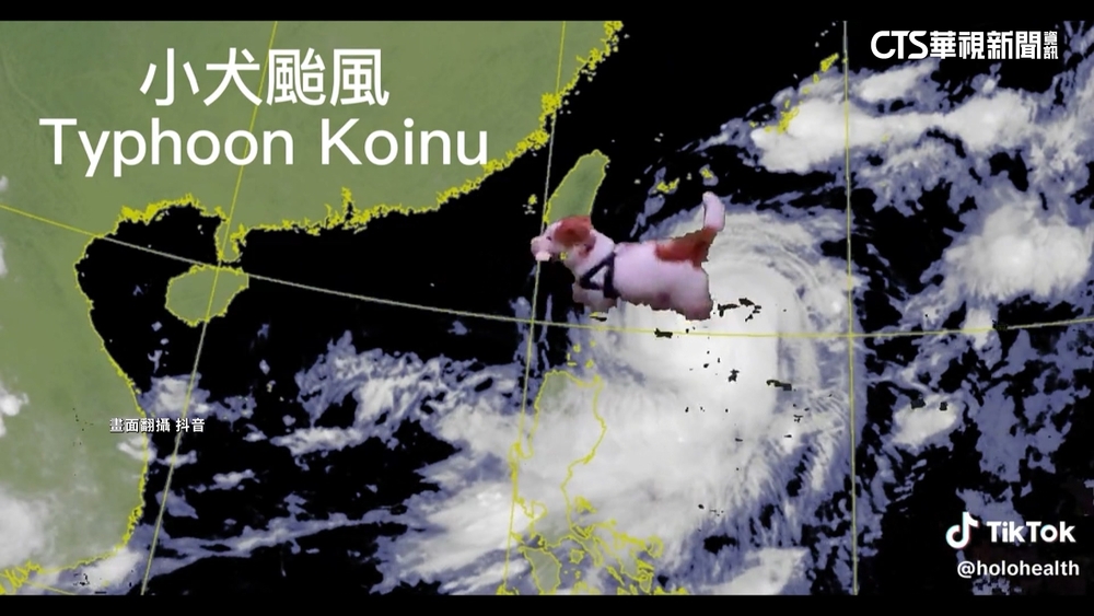 小犬颱風名字萌！　網友kuso「瘋狗浪變狗頭」