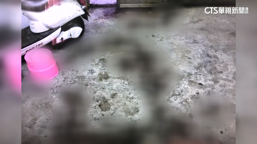 離奇！「小犬」強風吹破鋁門　85歲婦疑遭割腕亡