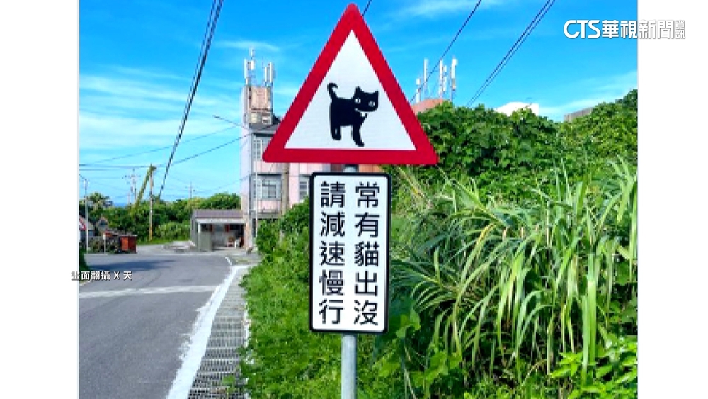 東北角黑喵交通標誌太萌　日遊客讚：太可愛