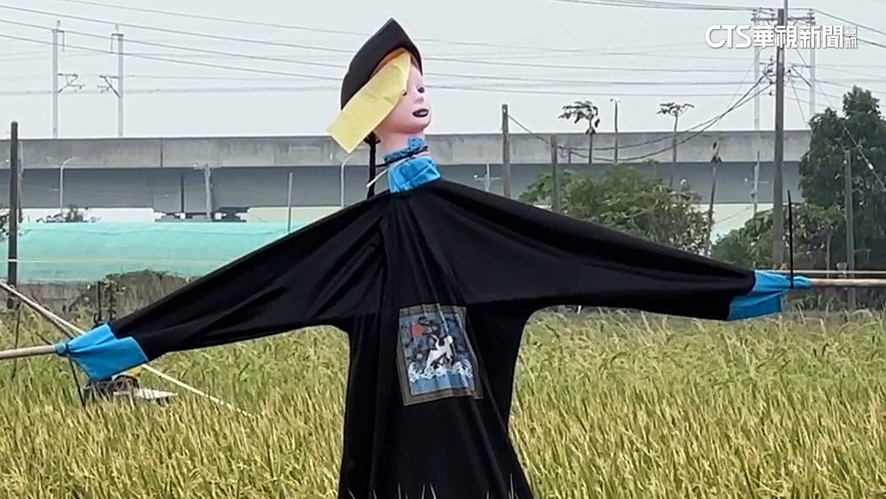 「殭屍.道士」稻田鬥法？！　別驚...農民趕麻雀啦