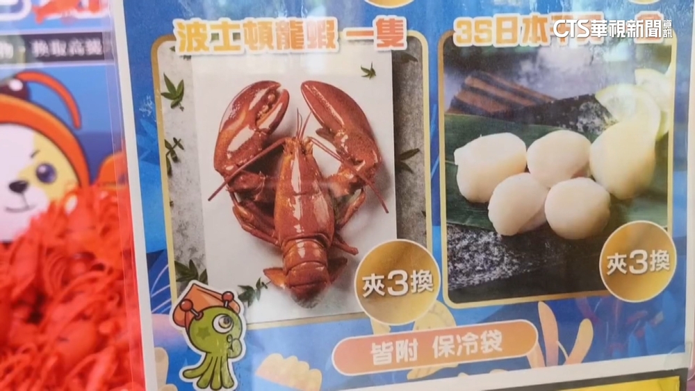 「夾布偶換龍蝦」吸客　竹市夾娃機夯！娛樂稅成長10%