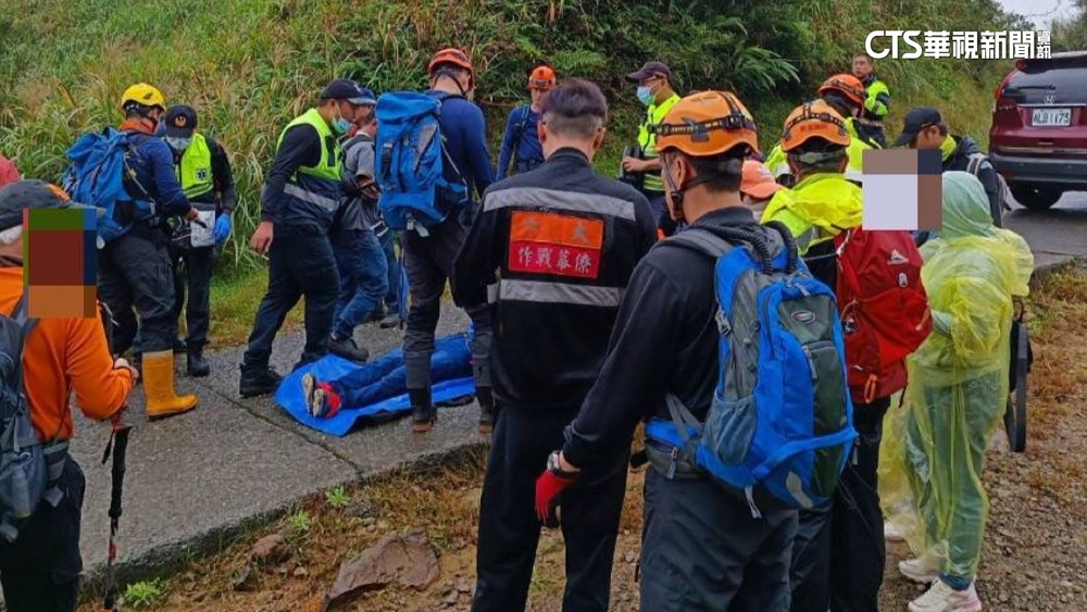 阿里山水漾森林虎頭蜂出沒　2天3團22人螫傷