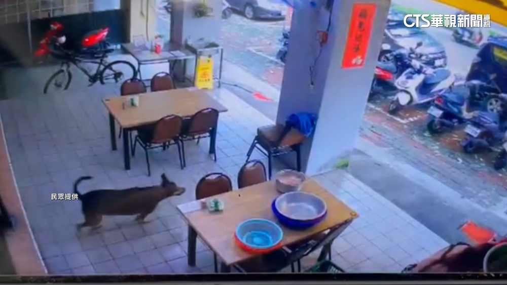 高雄女路上遭狗追咬！　母怒控飼主未出面負責