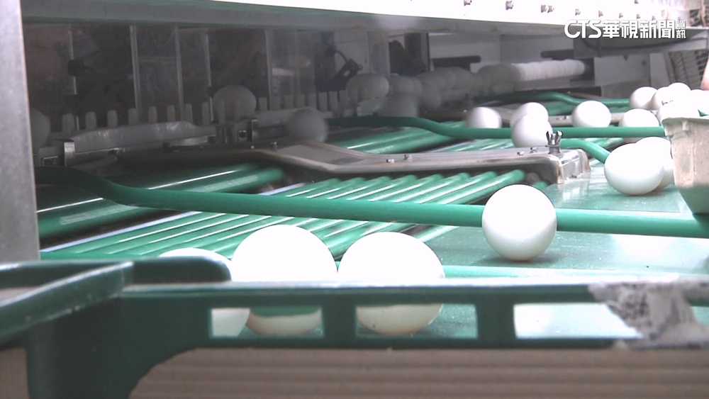 食安疑慮！　本土蛋買氣差　蛋價每台斤降2元