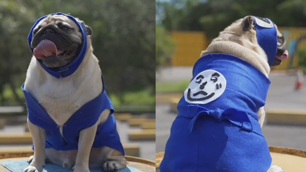 「火影忍者修煉路跑」11/5石門水庫登場　超萌忍犬開箱路跑路線