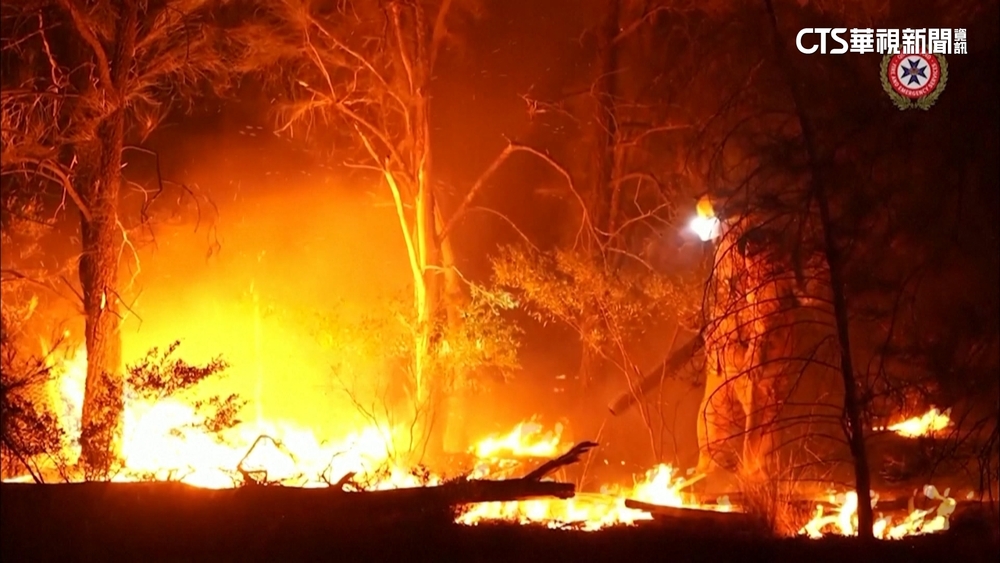 澳洲昆士蘭逾35起森林火災　當局籲民眾撤離
