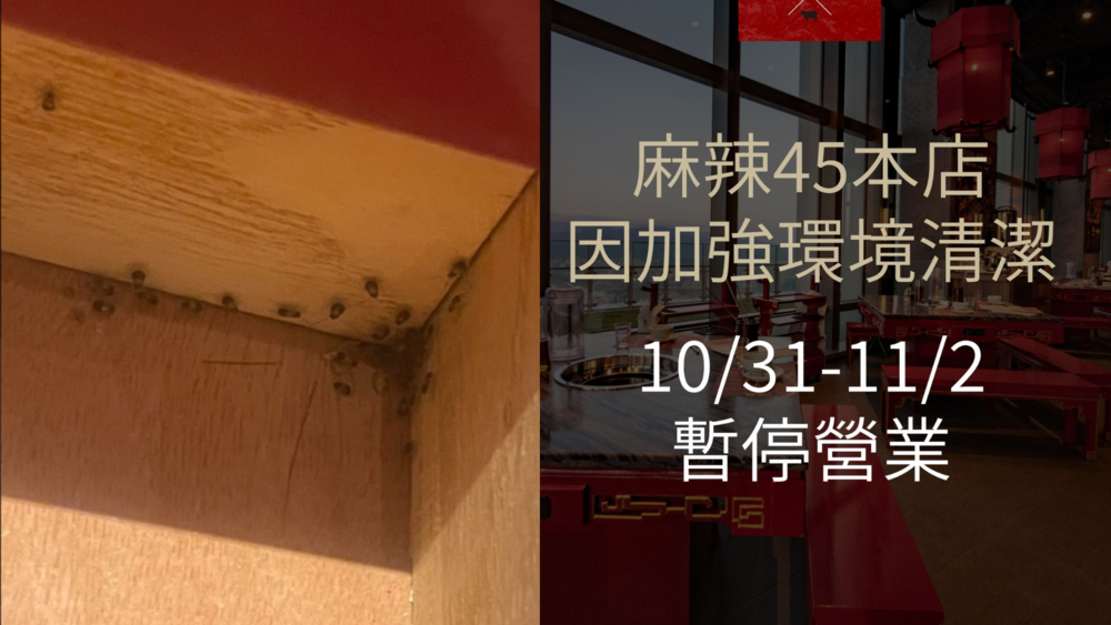 抽屜藏「一窩蟑螂」　麻辣鍋業者致歉：停業3日進行全面清消