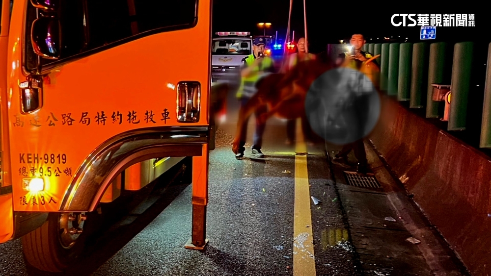 行駛國道撞上「龐然大物」　一看竟是180cm水鹿