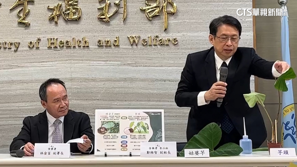 糗！　可食用「千年芋」誤當有毒姑婆芋　食藥署認錯