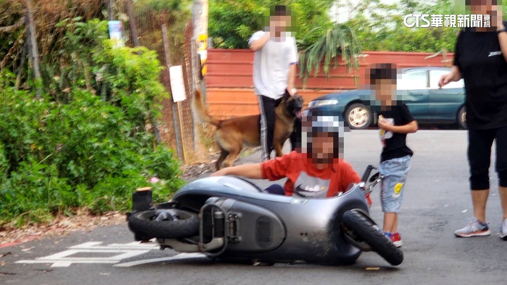 埔里狼犬突掙脫繫繩攻擊　勇嬤護孫手腳遭咬傷