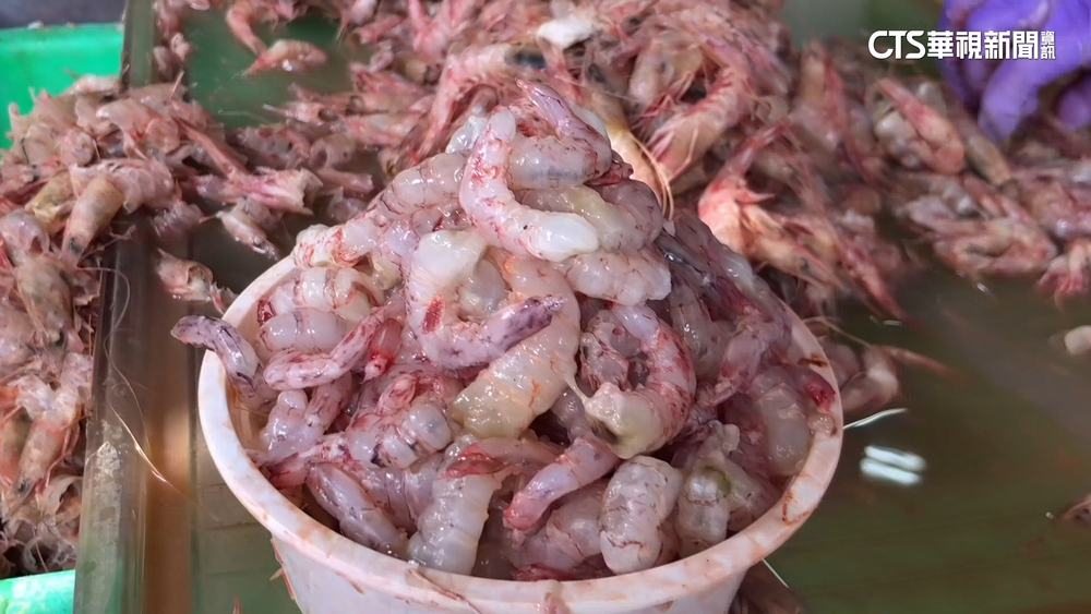 3秒剝完1尾蝦！　台南漁民練就一身「剝蝦絕活」