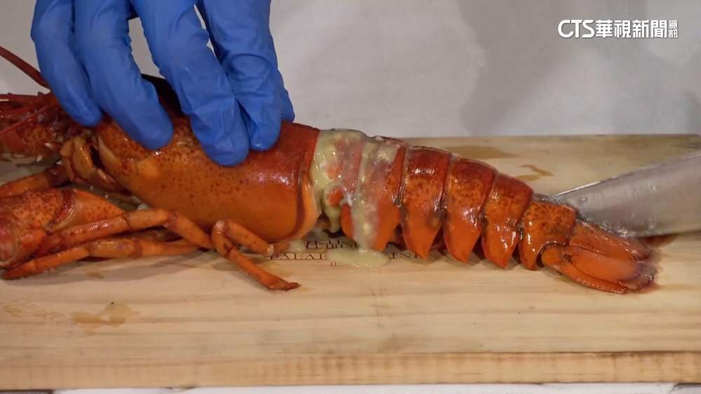 餐飲「龍蝦戰開打」　飯店西餐廳月銷龍蝦3萬隻