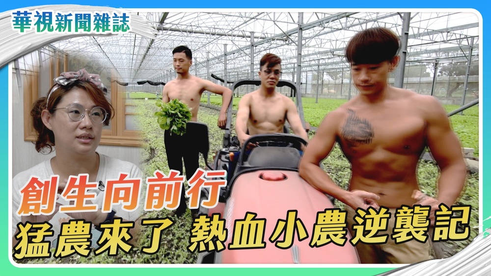 【創生向前行】熱血小農逆襲記｜華視新聞雜誌
