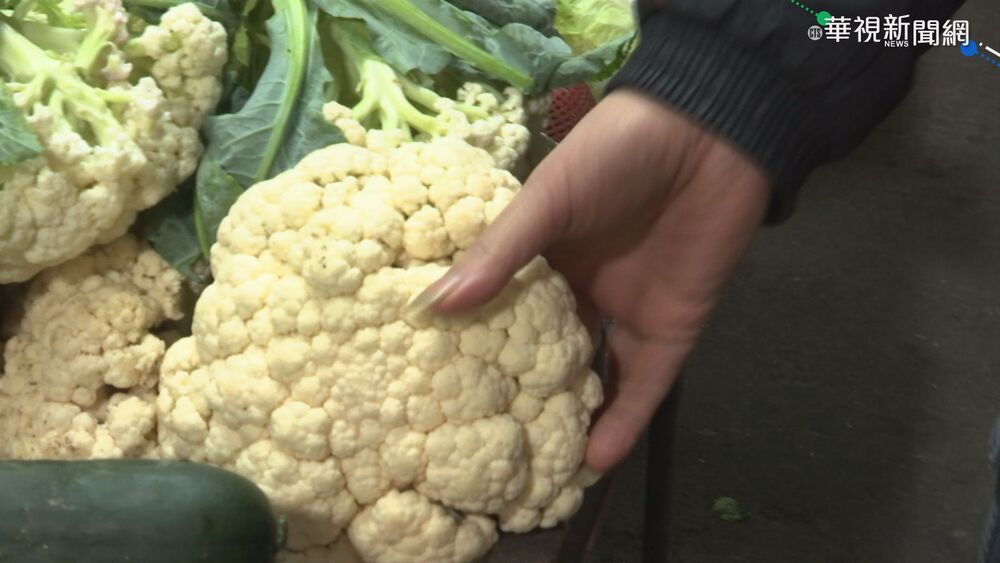 花椰菜如何安心吃？　農業署揭「4重點」：苦味過重別食用