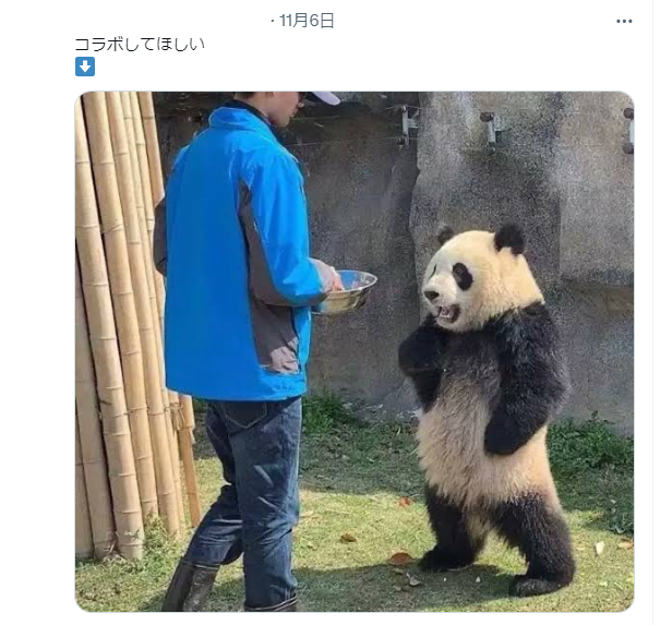 圖片翻攝自 X(推特) 留言