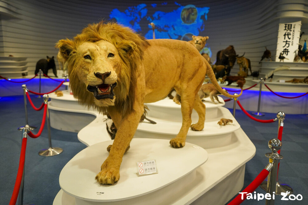 動物園的教育中心是生態博物館  / 圖片來源 台北市立動物園