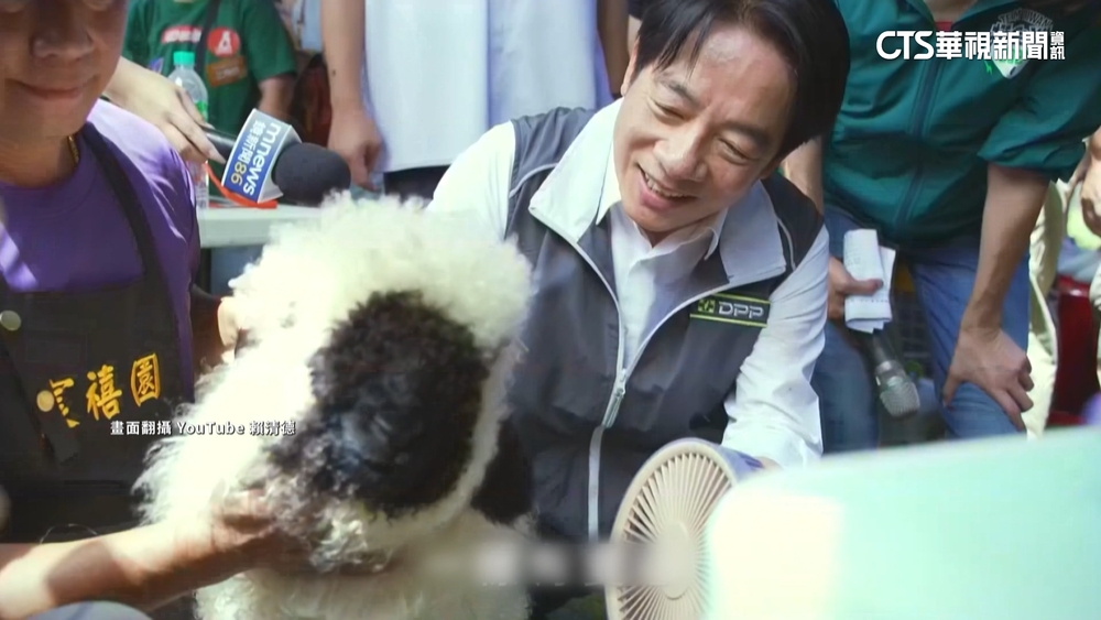 「賴蕭配」積極推空戰策略！　搶攻青年支持者