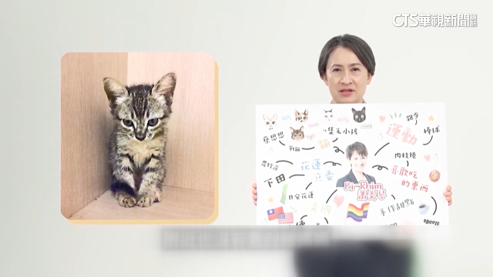 蕭美琴大談愛貓經　親曝「戰貓」稱號由來