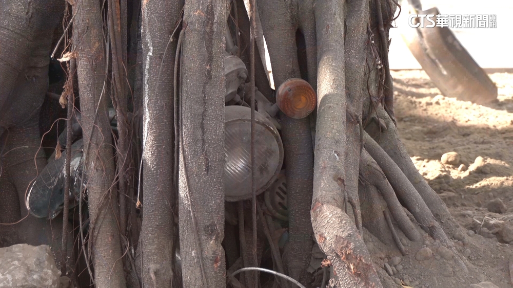 「樹吞車」超狂神祕景點！　國漫館保留盼成打卡點
