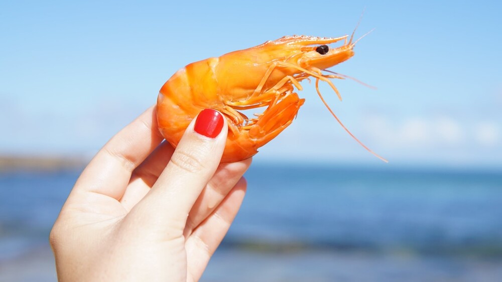 慶祝考上國企！男請吃熱炒　女友卻當場落淚：沒幫我剝蝦