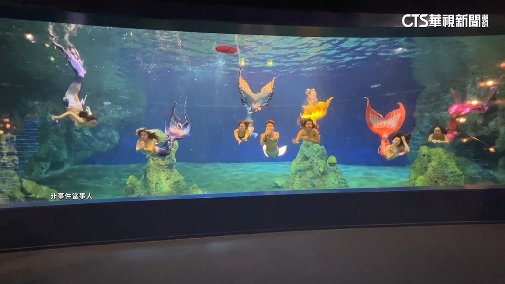 魚尾被石卡住險缺氧　南非美人魚表演「1秒變回人」