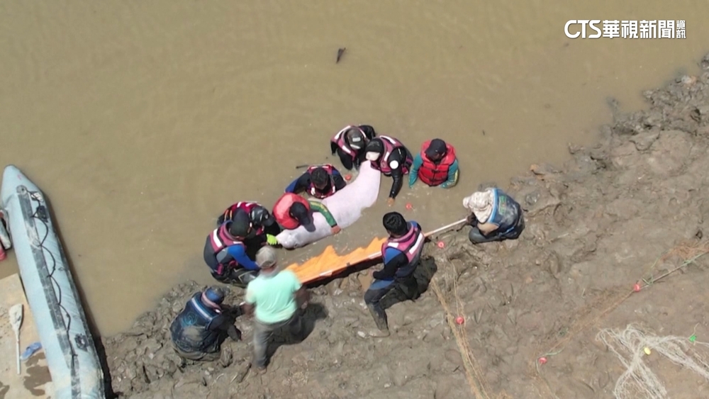 玻利維亞乾季水位降　24隻粉紅豚擱淺受困