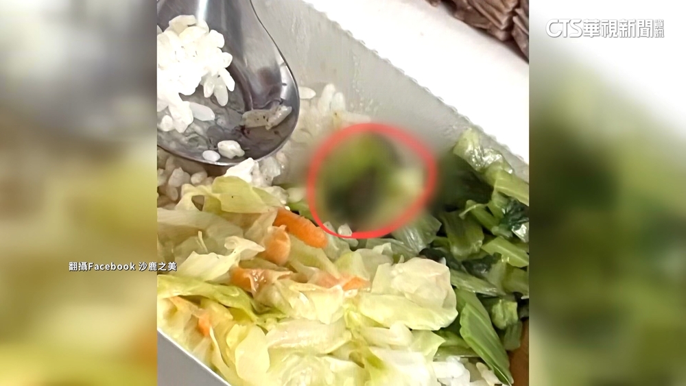 燒臘店便當又驚見黑色小強　曾遭網友留1星負評