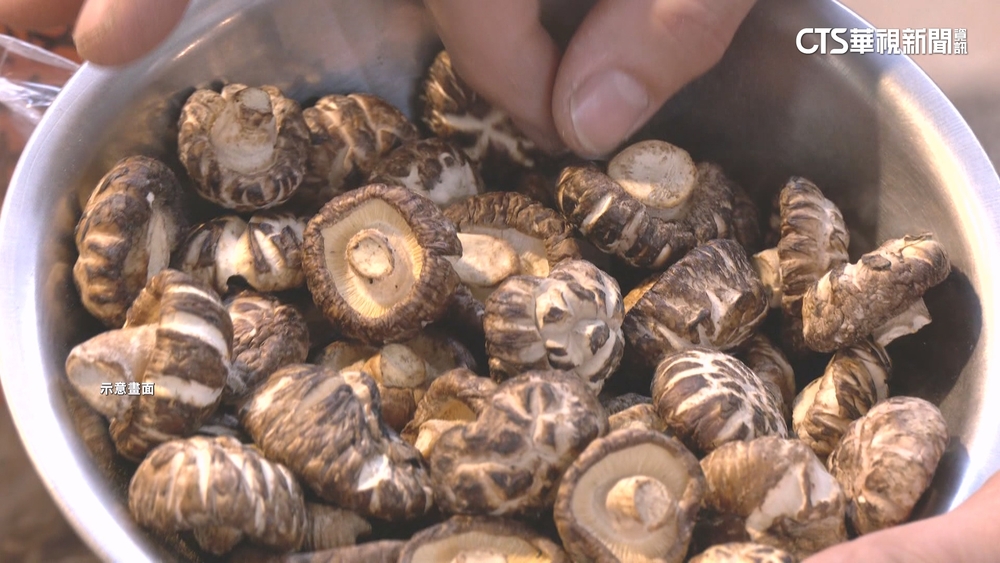 日本熊本香菇粉檢出微量輻射　未超標勸導退運