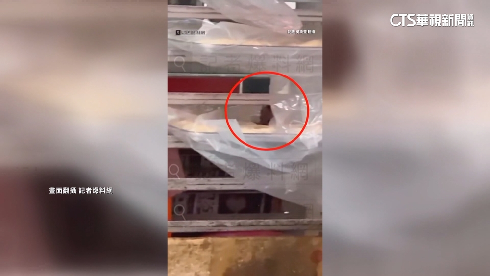 台中甜甜圈名店「老鼠啃麵糰」　業者質疑被惡搞