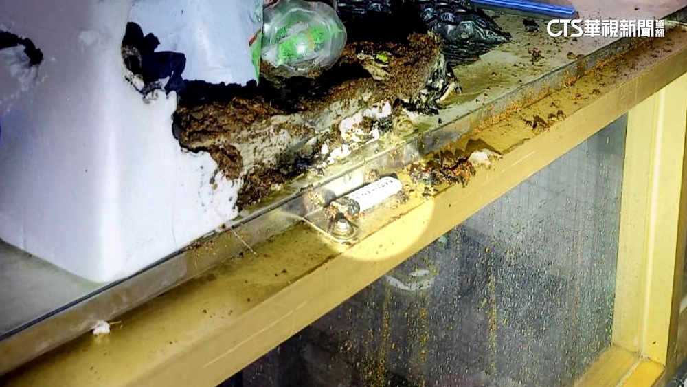 父母獨留2兒在家　疑玩火引發火勢驚險獲救