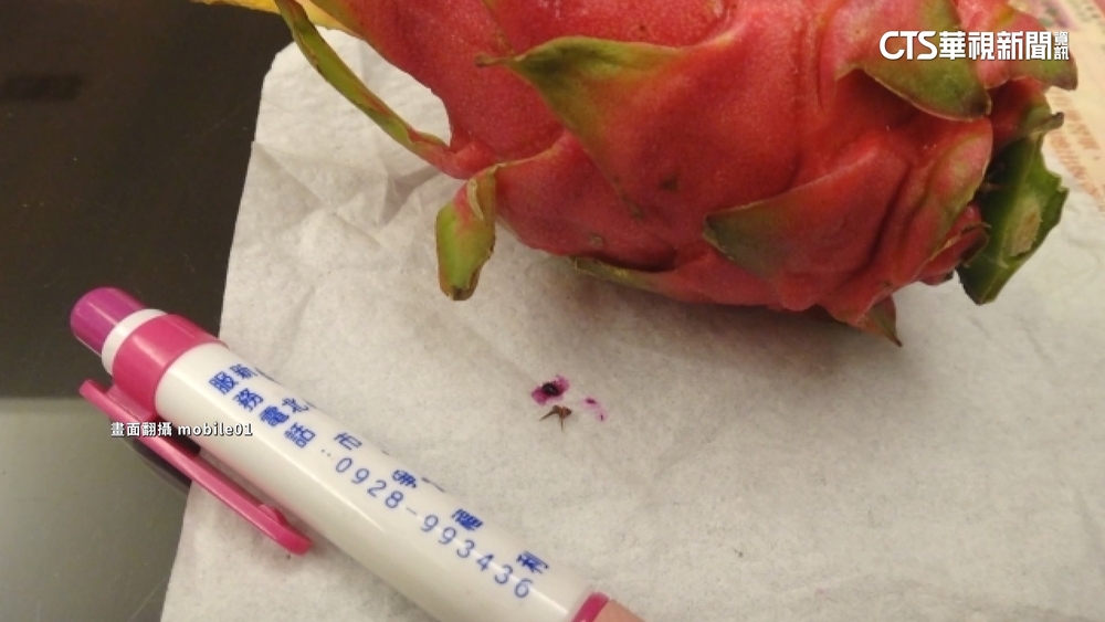 水果藏凶器！火龍果「吃到尖刺」　楊祐寧PO網籲家長留意！