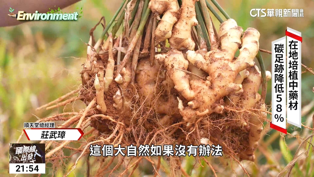 傳統漢方與時俱進　順天堂的綠色轉型