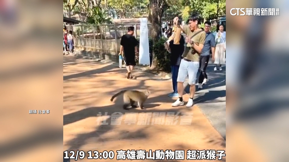 「潑猴」搶早餐！男大生遭猴抓傷　手濺血縫8針