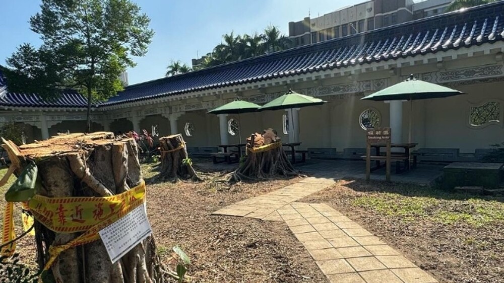 邰智源批砍樹設吸菸區「荒唐」　中正紀念堂：因染病才移除