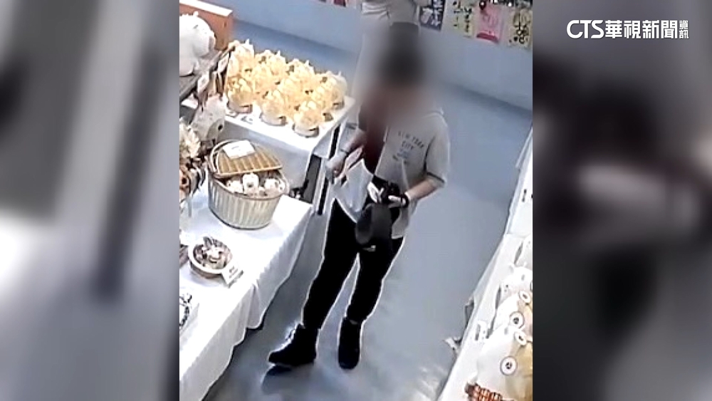 星國遊客偷「水豚君娃娃」後出境　警跨國追緝