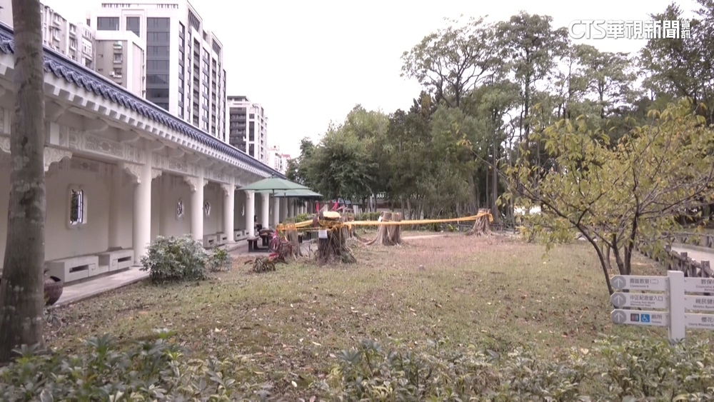 邰智源批砍樹設吸菸區　中正紀念堂駁：移除染病樹木