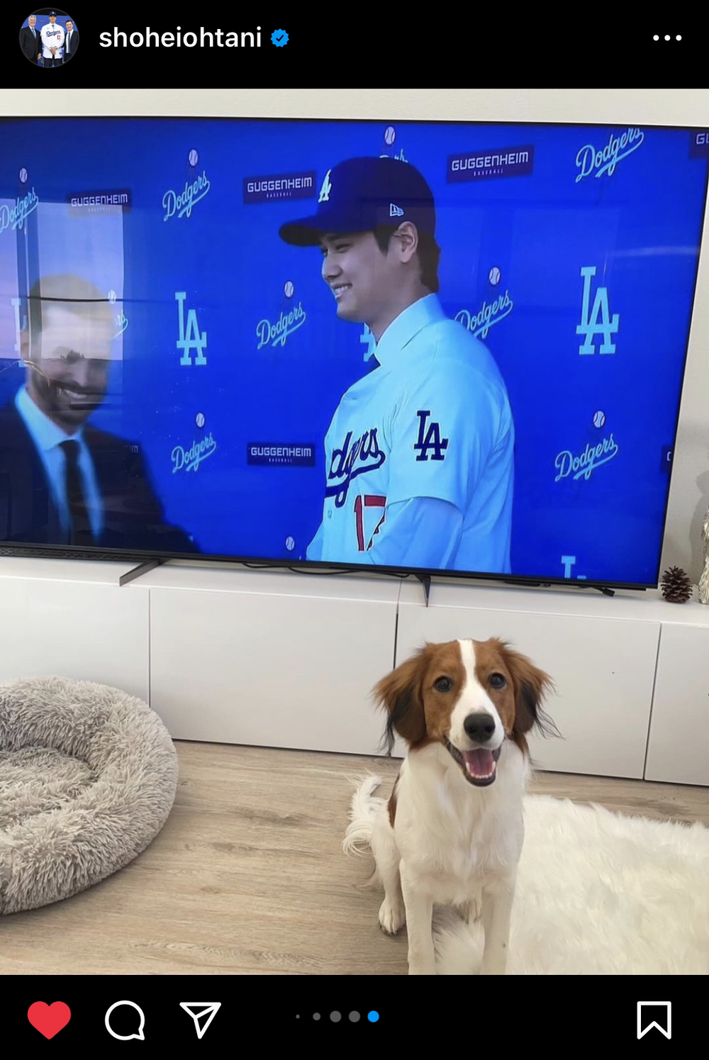 (圖/翻攝自 @shoheiohtani IG)
