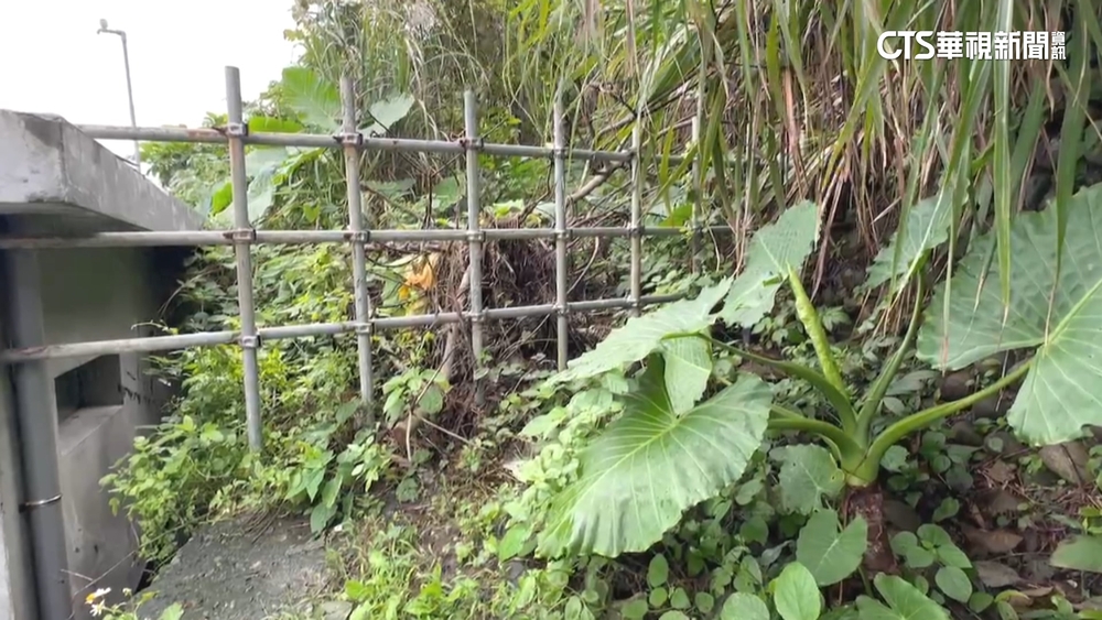 有家歸不得！　住戶控咖啡廳「封路」　無奈自費開小徑