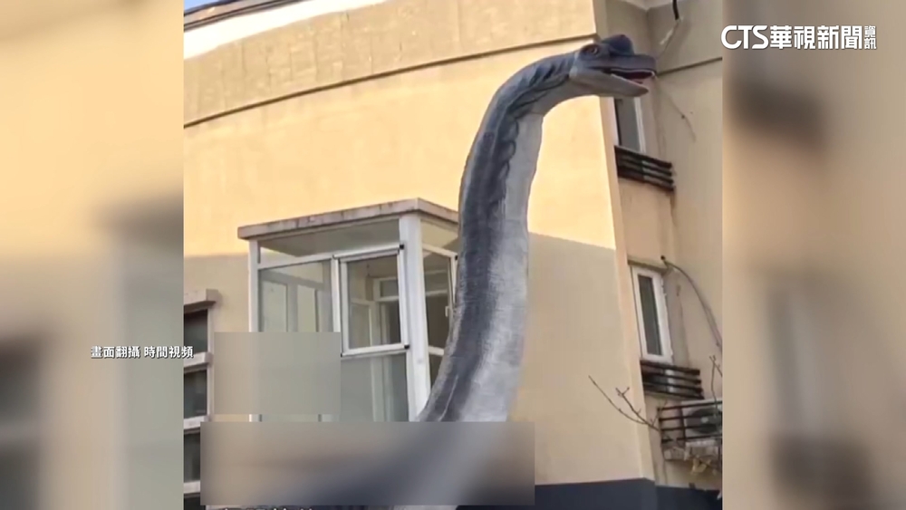 起床驚見「恐龍」血盆大口　北京男控嚇壞睡不著