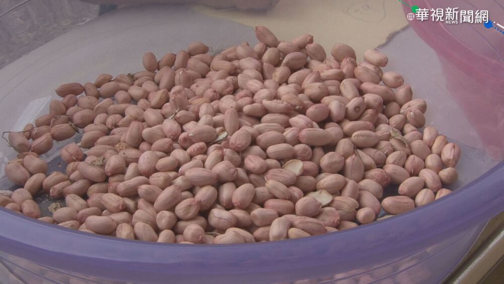 花生含有維生素B群和醣類，如果是吃水煮花生，只要不過量就能吃得熱量少又健康。示意圖／資料照